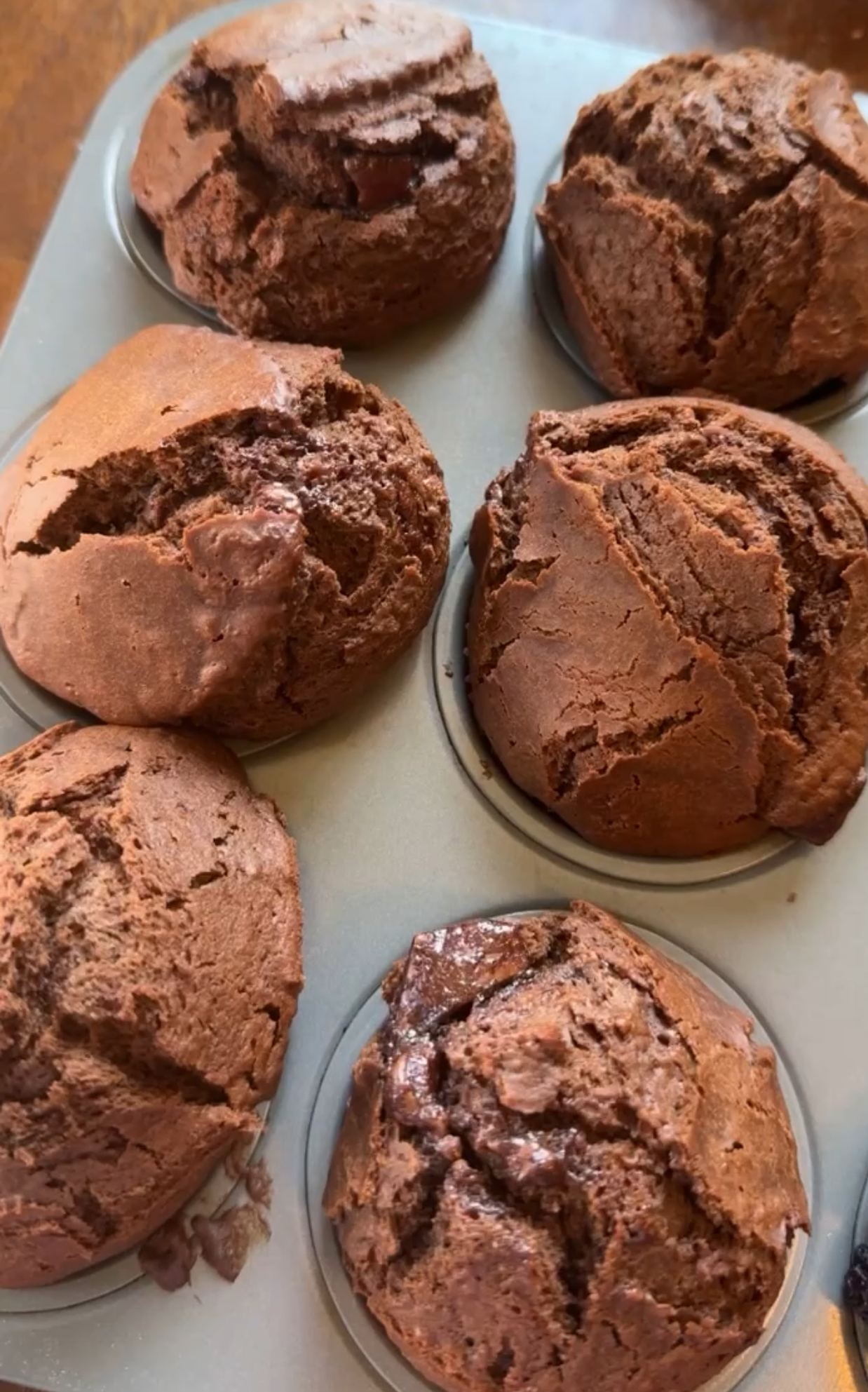 Chocolate Chocolate Chunk Muffins